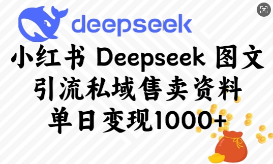 小红书Deepseek图文引流私域售卖资料，单日变现多张-紫橙资源网