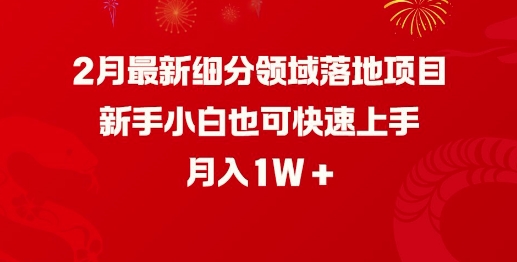 2月最新细分领域落地项目，新手小白也可快速上手，月入1W-紫橙资源网