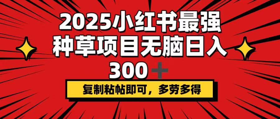 2025小红书最强种草项目，无脑日入300+，复制粘帖即可，多劳多得-紫橙资源网