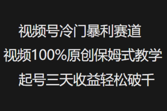 视频号冷门暴利赛道视频100%原创保姆式教学起号三天收益轻松破千-紫橙资源网