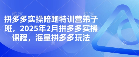 拼多多实操陪跑特训营弟子班，2025年2月拼多多实操课程，海量拼多多玩法-紫橙资源网