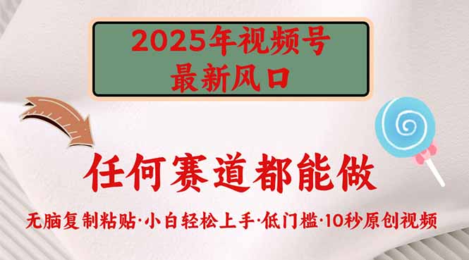 2025年视频号新风口，低门槛只需要无脑执行-紫橙资源网