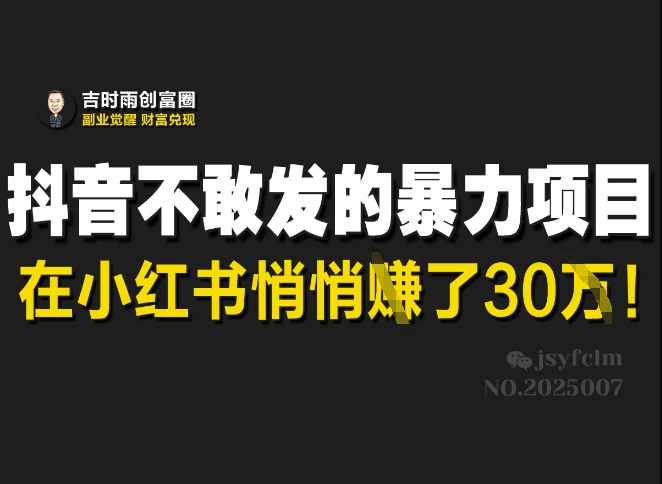 抖音不敢发的暴利项目，在小红书悄悄挣了30W-紫橙资源网