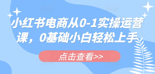小红书电商从0-1实操运营课，0基础小白轻松上手-紫橙资源网