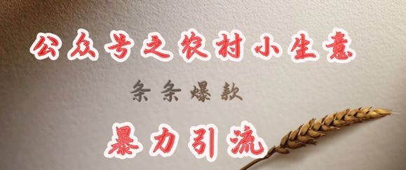 deepseek写农村小项目，条条爆款，暴力引流-紫橙资源网