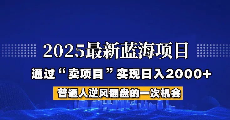 2025年蓝海项目，如何通过“网创项目”日入2000+-紫橙资源网