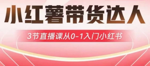 小红薯达人带货启航计划，3节直播课从0-1入门小红书-紫橙资源网