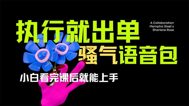 爆火全网的开车导航骚气语音包,只要执行就出单，小白看完课程就能实操...-紫橙资源网