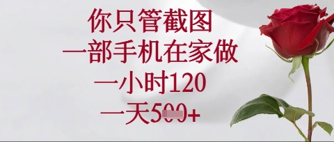 你只管截图，一部手机在家操作，一小时120.一天5张-紫橙资源网