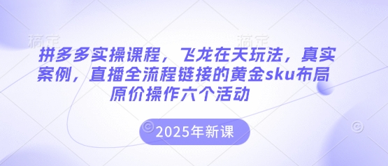 拼多多实操课程，飞龙在天玩法，真实案例，直播全流程链接的黄金sku布局原价操作六个活动-紫橙资源网
