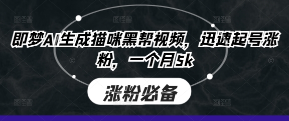 即梦AI生成猫咪黑帮视频，迅速起号涨粉，一个月5k-紫橙资源网