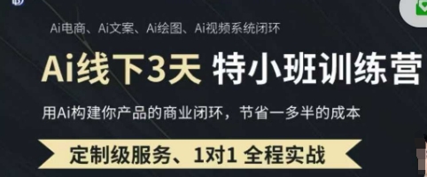 AI实操培训第20-21期线下，0基础保姆级教程，3月最新整理，企业获客、降本增效、打造超级个体-紫橙资源网