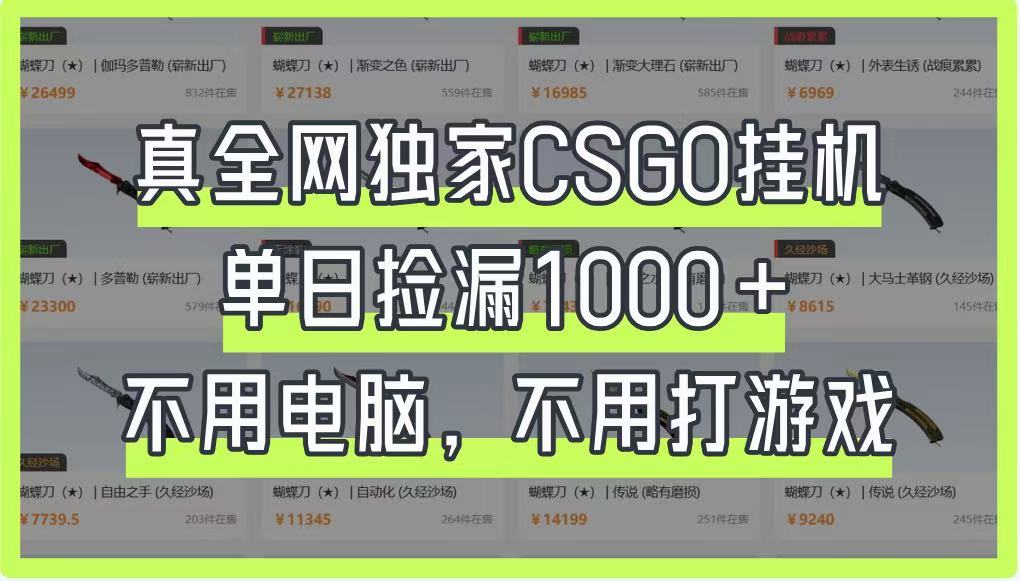 真全网独家CSGO挂机，单日捡漏1000+，不用电脑，不用养号-紫橙资源网