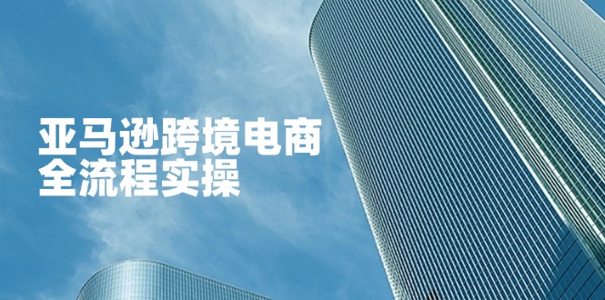 亚马逊跨境电商全流程实操，教你从零开始，掌握店铺运营与广告技巧-紫橙资源网
