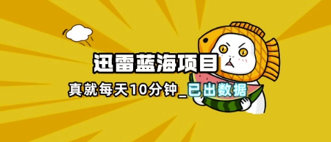 迅雷浏览器项目-紫橙资源网