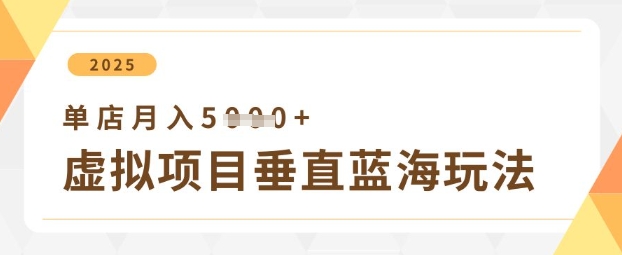 虚拟项目垂直玩法，实现单店月入5k+-紫橙资源网
