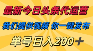 最新今日头条代运营，我们提供视频，你一键发布，单号日入200+-紫橙资源网