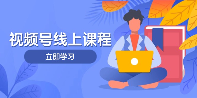 视频号实战课程，轻IP打造与运营技巧，掌握核心方法与策略-紫橙资源网