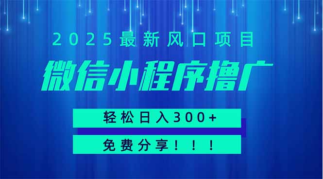 微信小程序撸广，最新风口项目，日入300+ 免费分享 可批量操作 小白可...-紫橙资源网