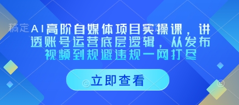 AI高阶自媒体项目实操课，讲透账号运营底层逻辑，从发布视频到规避违规一网打尽-紫橙资源网