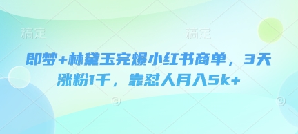 即梦+林黛玉完爆小红书商单，3天涨粉1千，靠怼人月入5k+-紫橙资源网