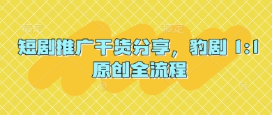 短剧推广干货分享，豹剧 1:1原创全流程-紫橙资源网