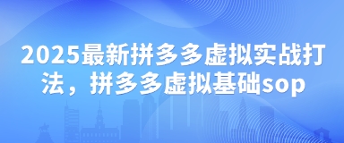 2025最新拼多多虚拟实战打法，拼多多虚拟基础sop-紫橙资源网