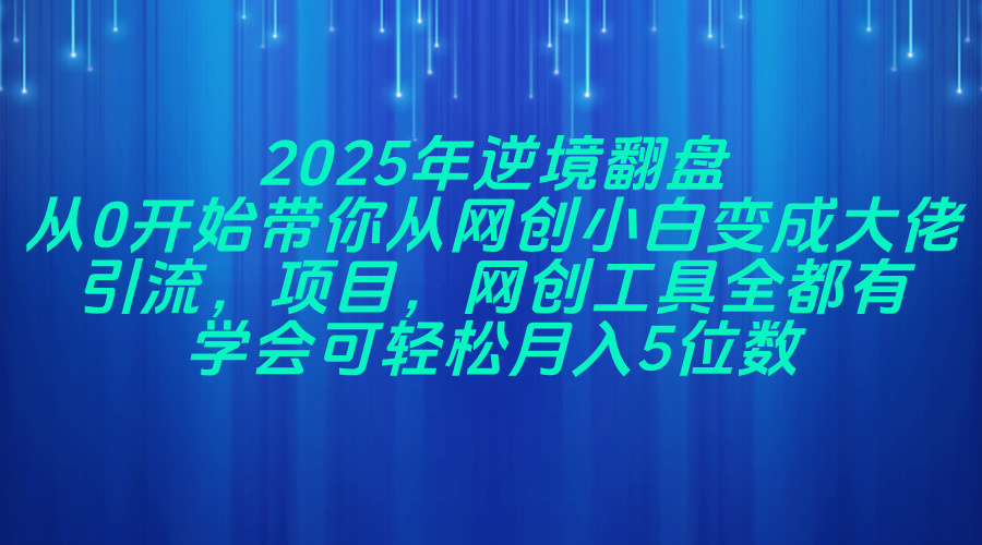 2025年逆境翻盘，从0开始带你从网创小白变成大佬，引流，项目，网创工...-紫橙资源网