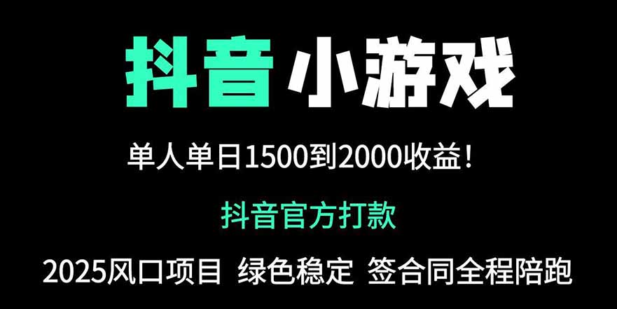 抖音官方小游戏2025全网最新玩法,暴利赚钱项目,单机日入2000+,绝不...-紫橙资源网