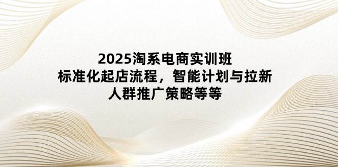 2025淘系电商实训班：标准化起店流程，智能计划与拉新，人群推广策略等等-紫橙资源网