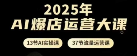 2025年AI爆店运营大课,13节AI实操课+37节流量运营课-紫橙资源网