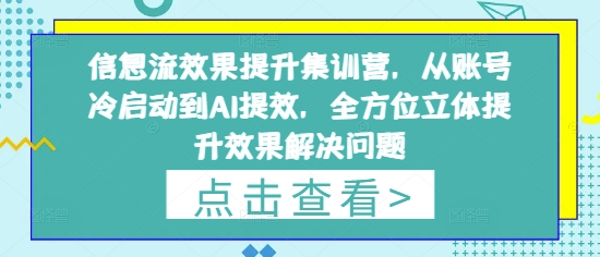 信息流效果提升集训营，从账号冷启动到AI提效，全方位立体提升效果解决问题-紫橙资源网