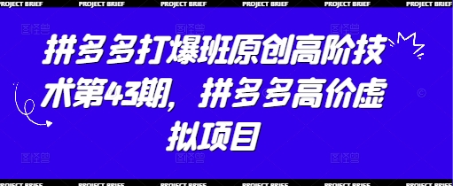 拼多多打爆班原创高阶技术第43期，拼多多高价虚拟项目-紫橙资源网