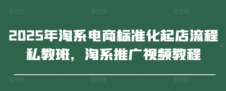 2025年淘系电商标准化起店流程私教班，淘系推广视频教程-紫橙资源网