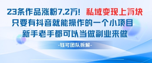 抖音私域项目23条作品涨粉7.2W，私域变现1W-紫橙资源网