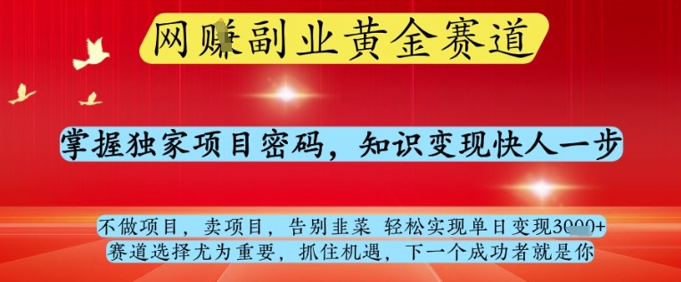 网创副业黄全赛道，掌握独家项目密码，知识变现快人一步，告别韭菜轻松实现单日变现1k+-紫橙资源网