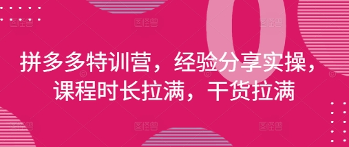 拼多多特训营，经验分享实操，课程时长拉满，干货拉满(更新25年4月)-紫橙资源网