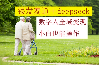 银发赛道+deepseek数字人全域变现，小白也能操作-紫橙资源网