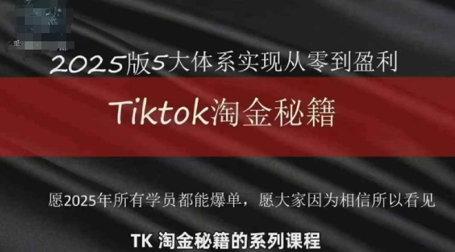 TikTok跨境2025淘金秘籍，​2025TikTok从0到盈利变现-紫橙资源网