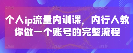 个人ip流量内训课，内行人教你做一个账号的完整流程-紫橙资源网