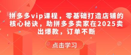 拼多多vip课程，零基础打造店铺的核心秘诀，助拼多多卖家在2025卖出爆款，订单不断-紫橙资源网