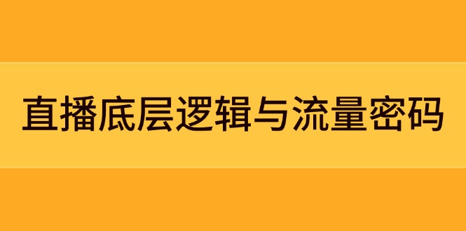 直播底层逻辑与流量密码：定位模型+案例拆解，急速流承接与数据优化全攻略-紫橙资源网