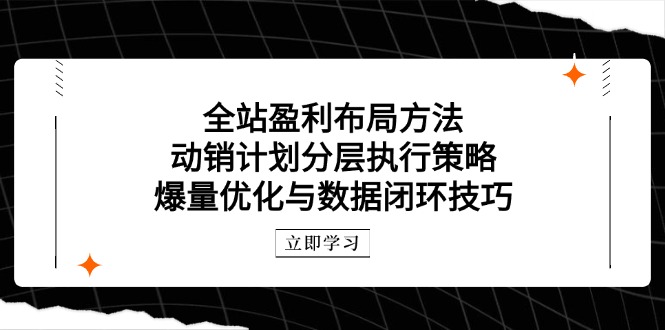 全站盈利布局方法：动销计划分层执行策略，爆量优化与数据闭环技巧-紫橙资源网