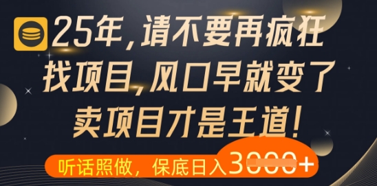 什么？25年你还在疯狂找项目做，醒醒吧，看完这些你全都懂了-紫橙资源网