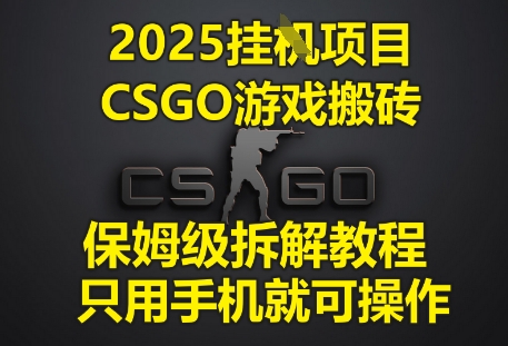 2025挂G项目，CSGO游戏搬砖，保姆级拆解教程，只用手机就可操作-紫橙资源网
