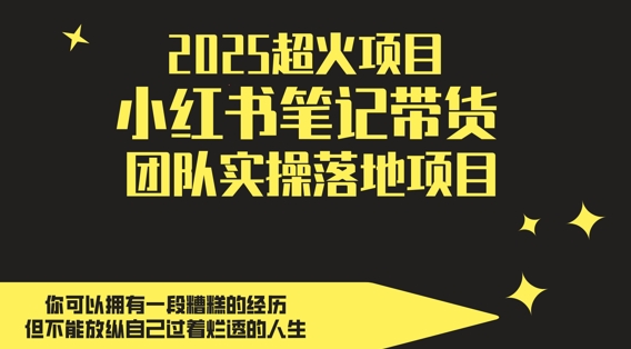 2025超火项目，副业最佳选择，小红书笔记带货团队实操落地项目，，轻松日入5张-紫橙资源网