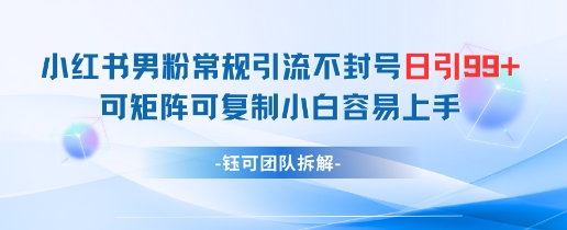 小红书男粉常规引流不封号日引99+变现简单 可矩阵可复制小白容易上手-紫橙资源网