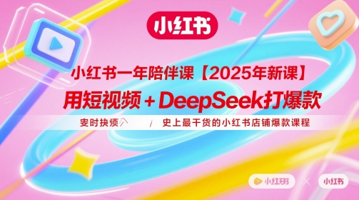 小红书一年陪伴课【2025年新课】，用短视频+deepSeek打爆款，史上最干货的小红书店铺爆款课程-紫橙资源网