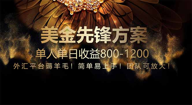 免费技术！小众赛道！一年布局抵三年努力，每日800+-紫橙资源网