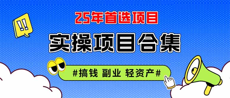 2025实操项目合集 挂机类型 直播类型 轻资产创业类型 课程分享各项目介...-紫橙资源网
